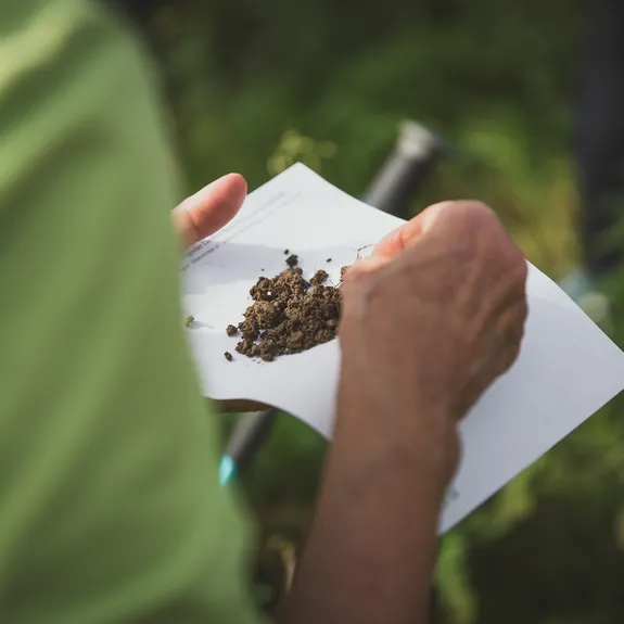 <p>Foto: Bj&ouml;rn Fedier</p>